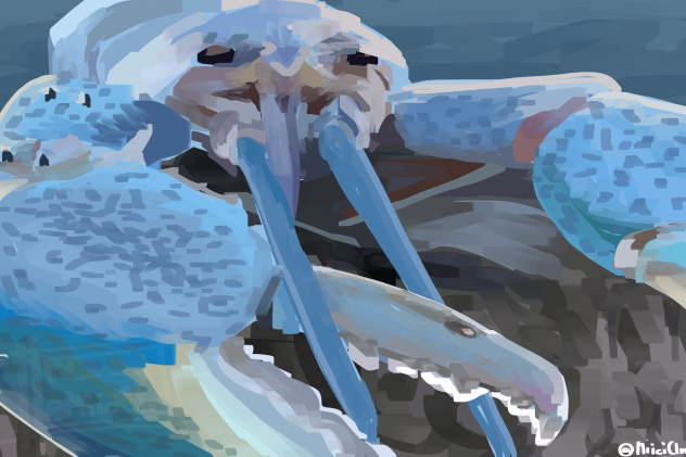 ☠️☠️☠️☠️☠️