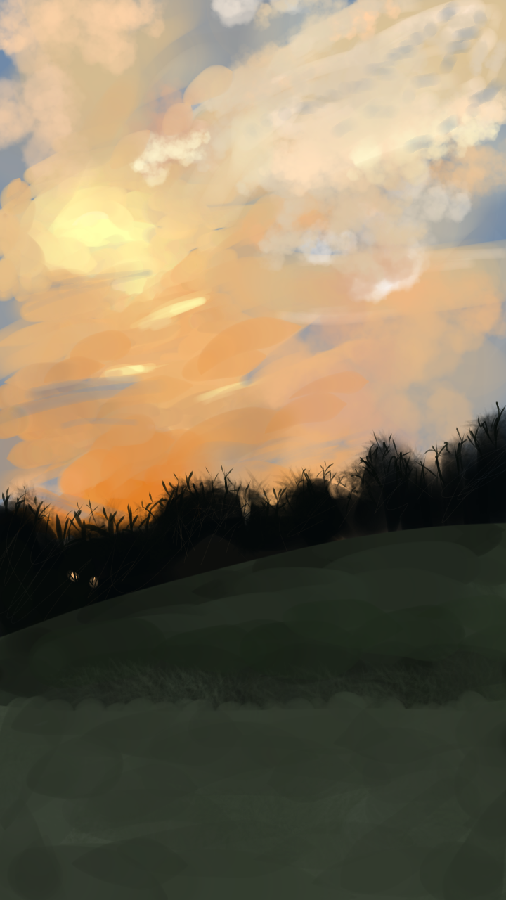 sunset 🌅 - ibisPaint