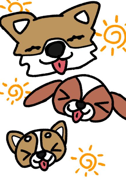 ｱｯｼｰｸｯﾋﾟｰﾜｯｷｰ