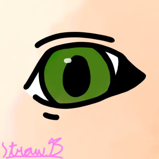 Eye Drawing
