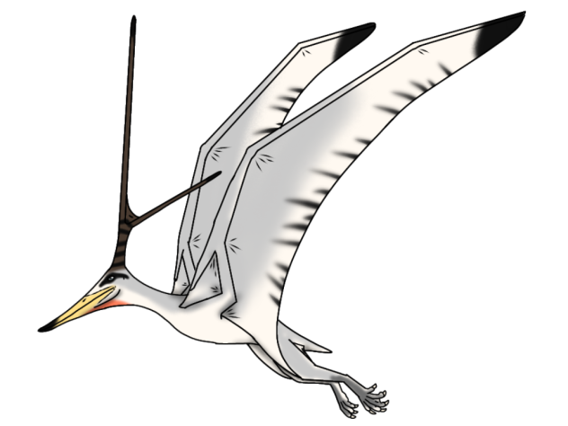 Nyctosaurus gracilis render