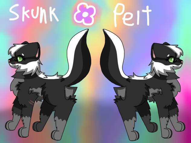 Remake, SkunkPelt, Warrior Cat OC.