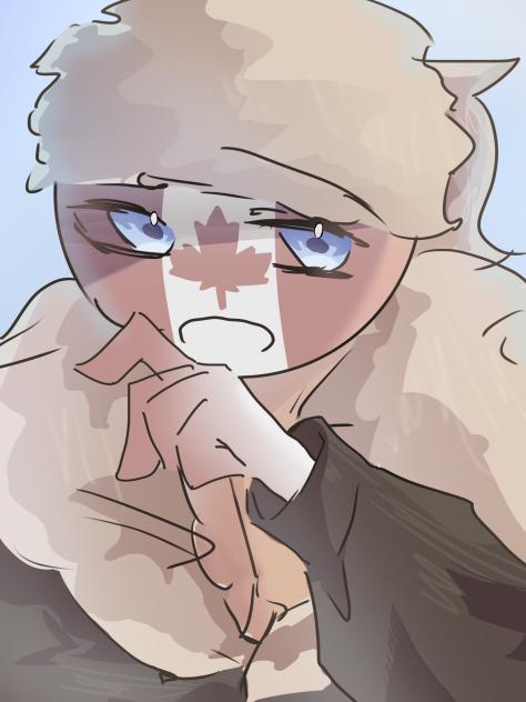 カナダさん可愛いぃぃぃぃ！！