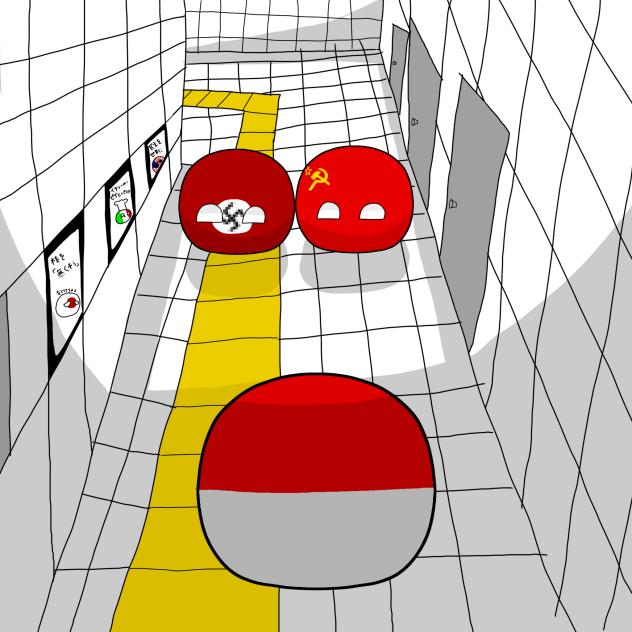 ポルスカの脱出！[8番目]ニエムツィと…ロシア…？あ…近づいたら目があった…