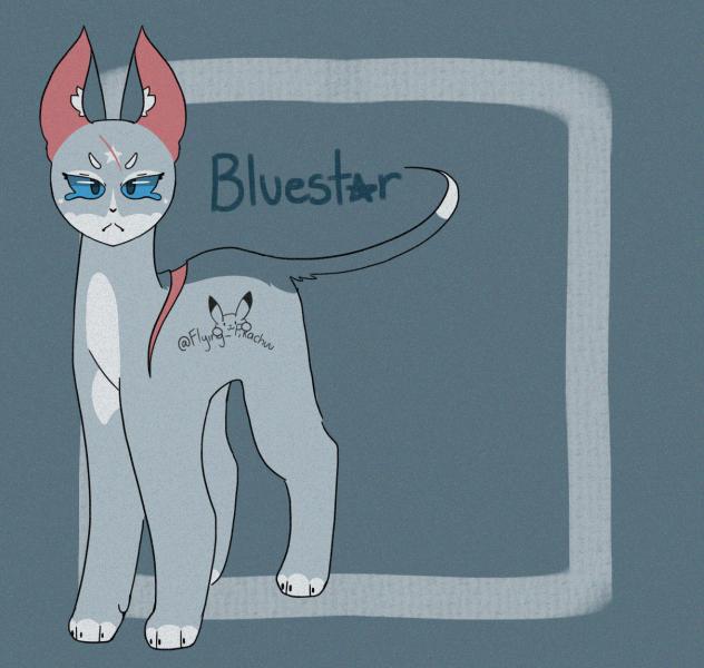Bluestar 💙⭐️