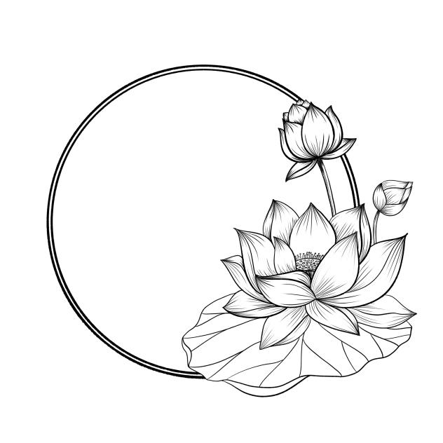 Lotus Frame