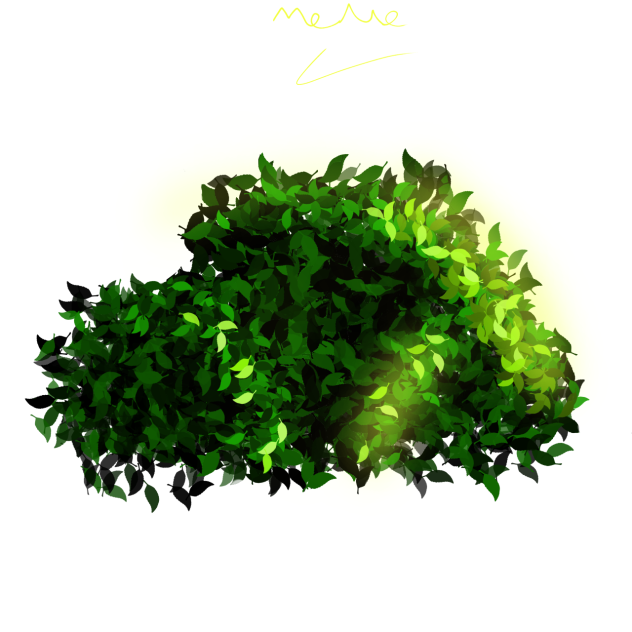 🌳☘️