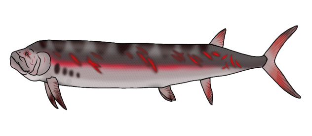 Evil Xiphacthinus2