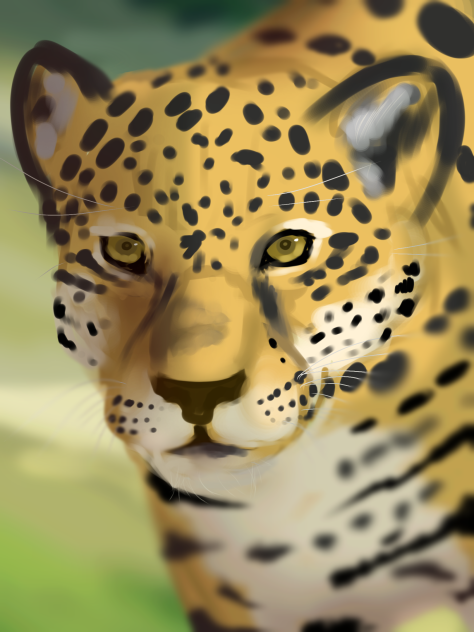 Jaguar Art