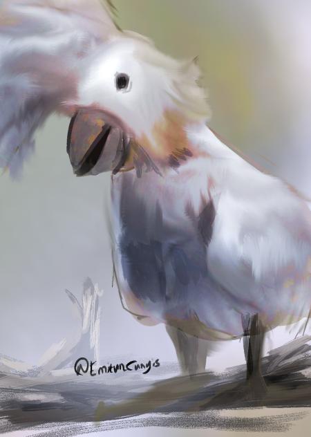 Day 6 Drawing challenge