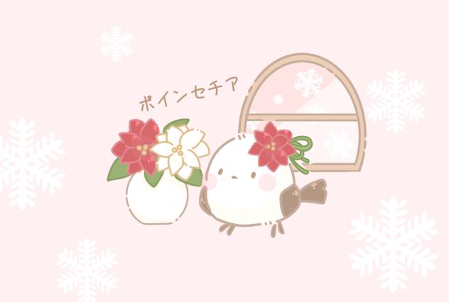 ポインセチアと…