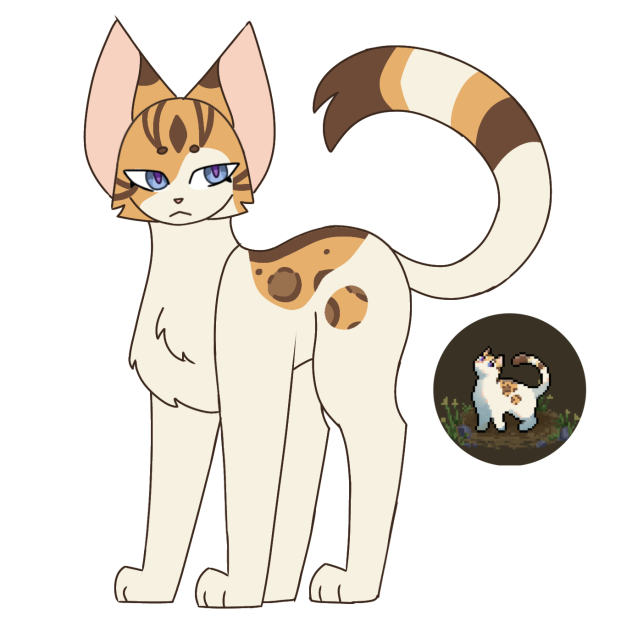 ☆Slumberstripe☆