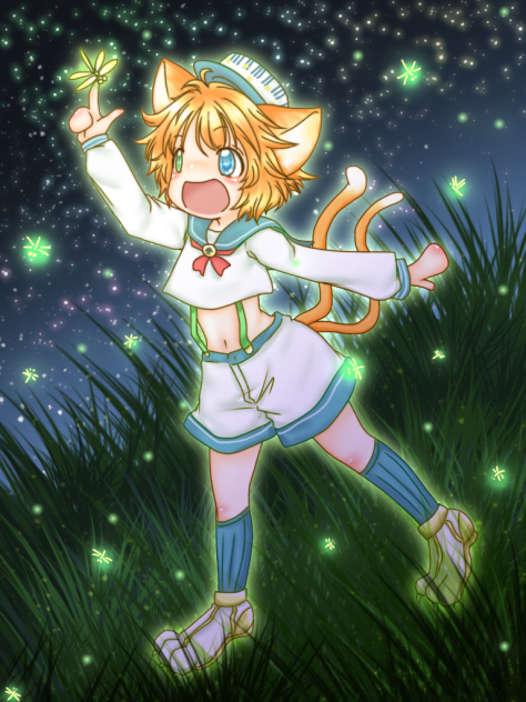ひかりとんぼ