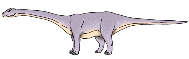Lunar Diploterro female