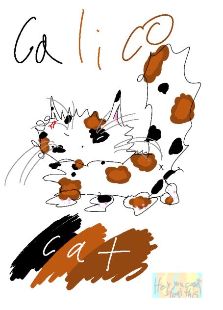 Cat #1
