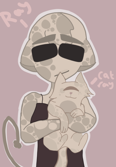 Ray plays with Ray cat ❤️