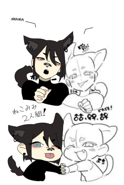 Saku wolf