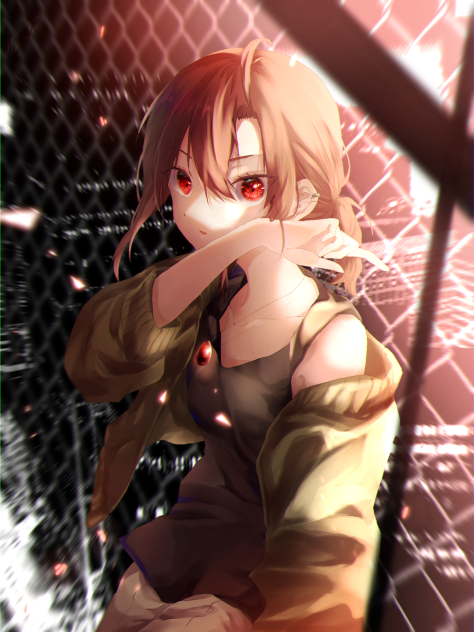 CH3HgX