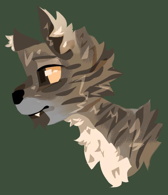 Lineless cat