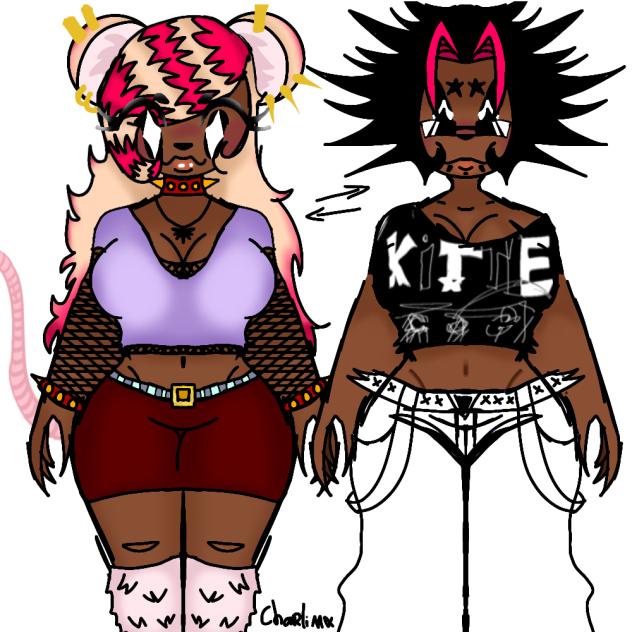 Switch outfits discord