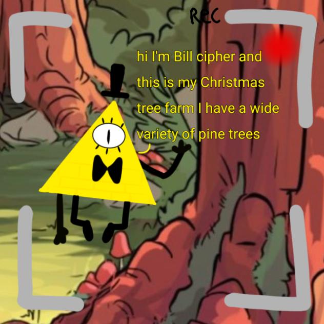 Bill's pine trees - ibisPaint