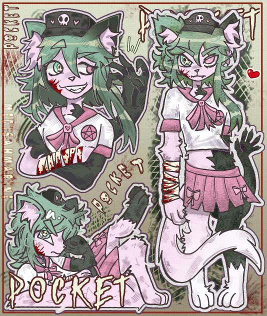 Pocket jormal (coms)