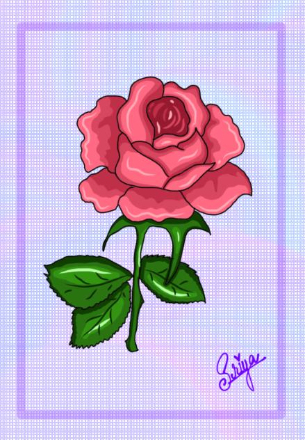 🌹❤️✨