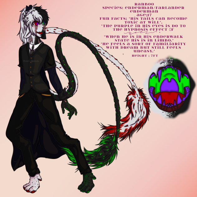 Ranboo Reference sheet