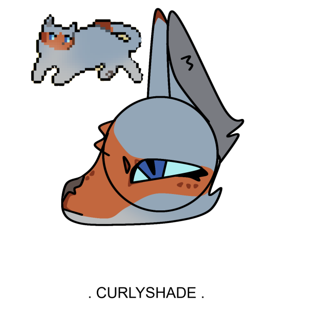 curlyshade!!