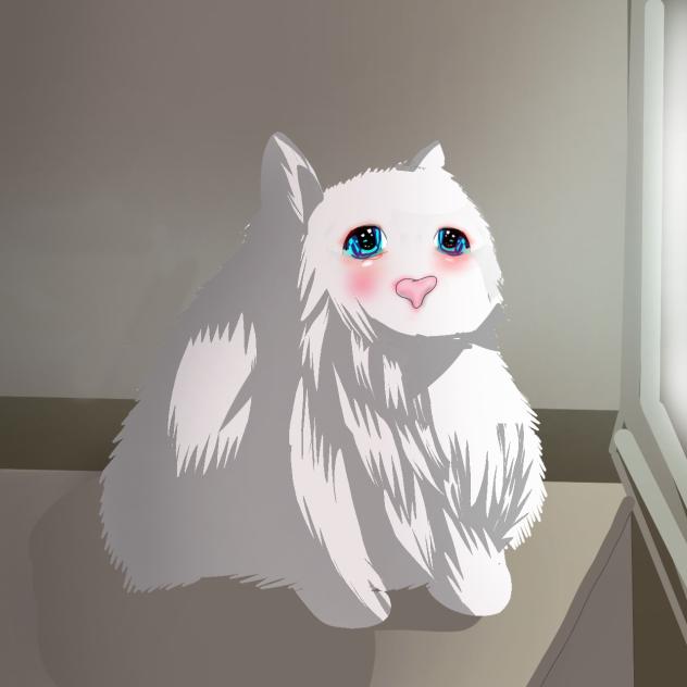cute cat❤️