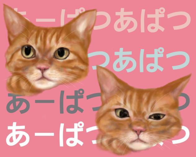 リアルアパツ