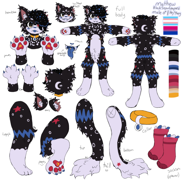 Mathew's Fursona refsheet