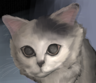 Realism Attempt - ibisPaint