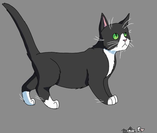 Tried to Draw my Cat