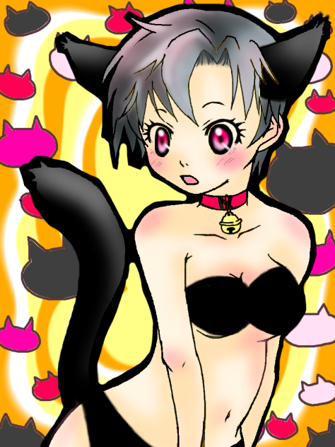 にゃんだー