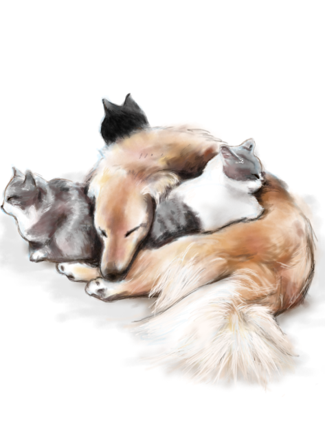 う、お…重い…zzz