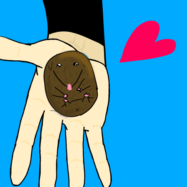 toma, te lo regalo ❤️