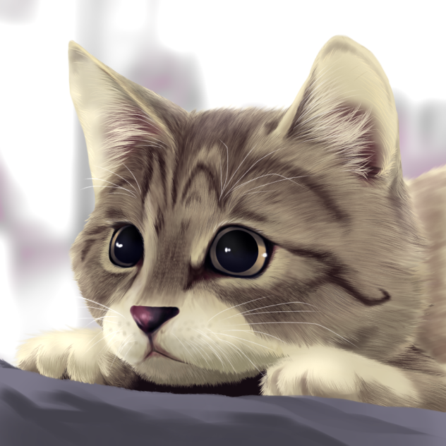 猫