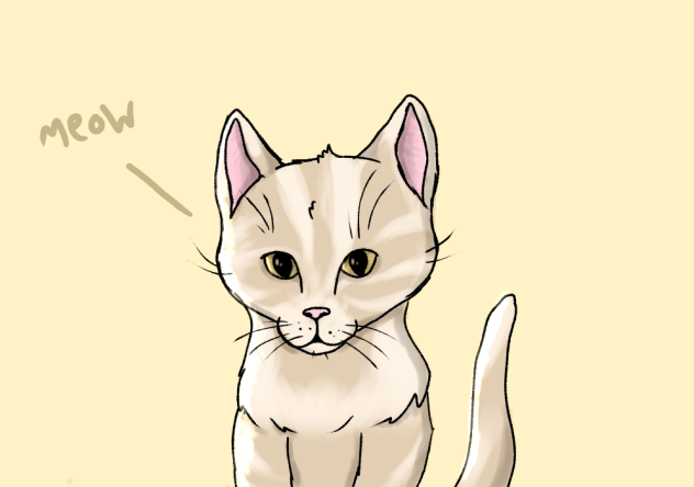 realistic cat!