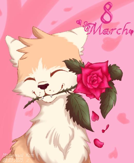 8 March 💗