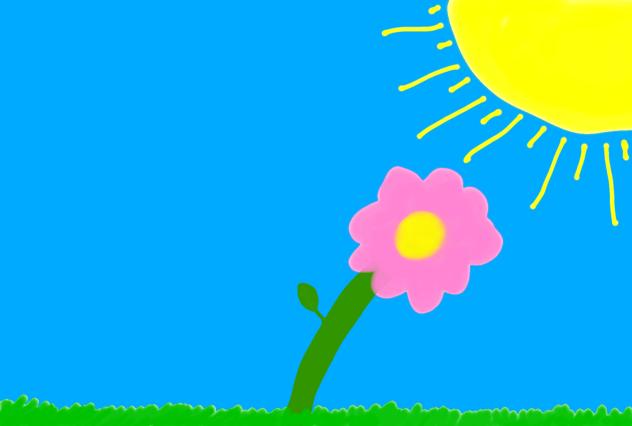 Pink flower 🌸 🌷🪷🌺