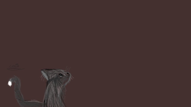 cat