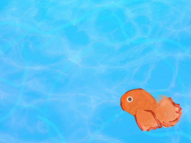 Fish 🐟 - ibisPaint