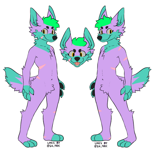 Sky ref sheet