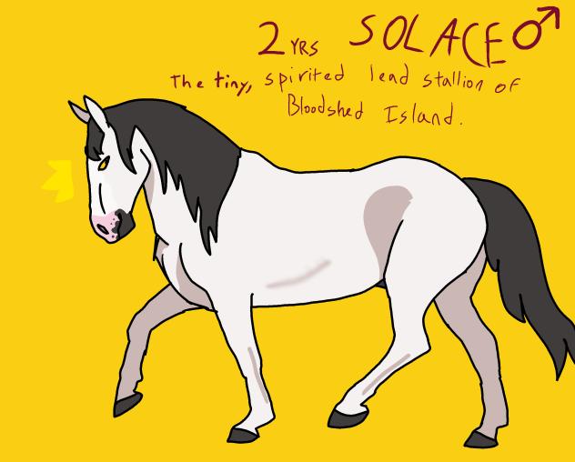 Solace ref