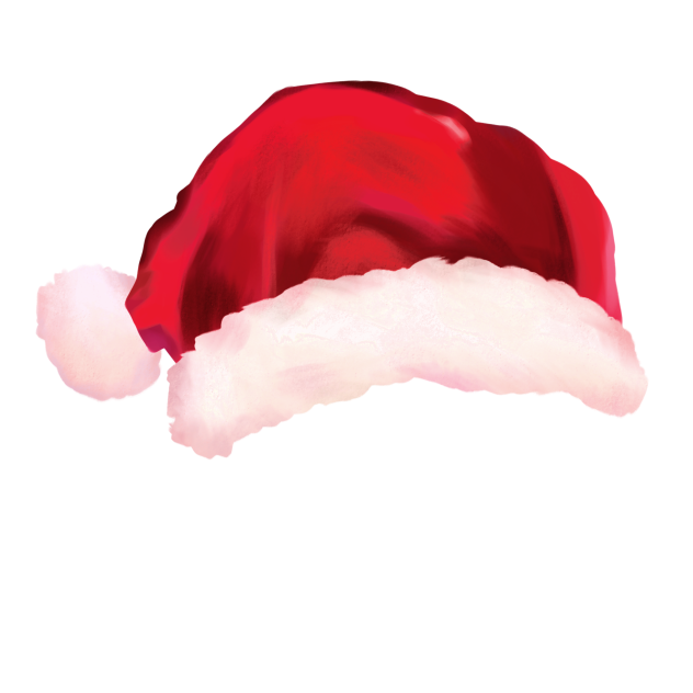 Christmas cap2