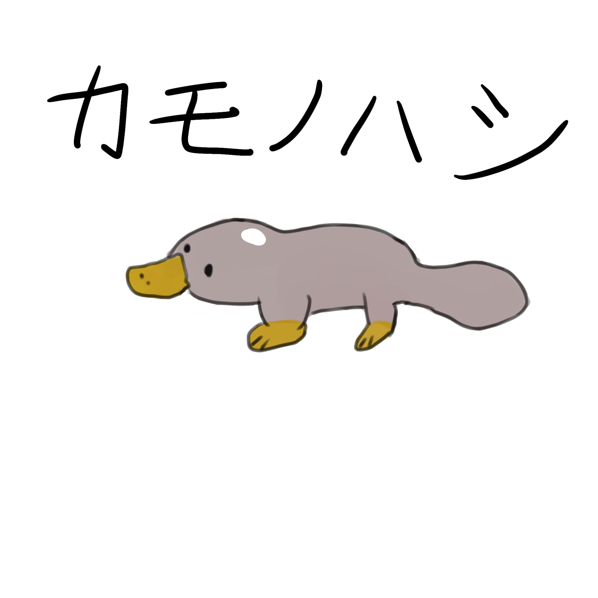 カモノハシ様ご確認お願いします