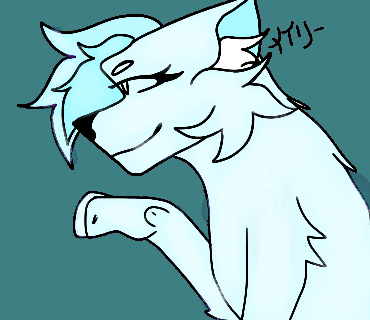 =3