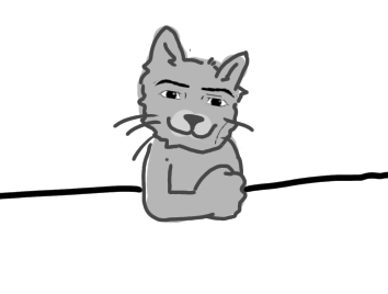 Fizz cat