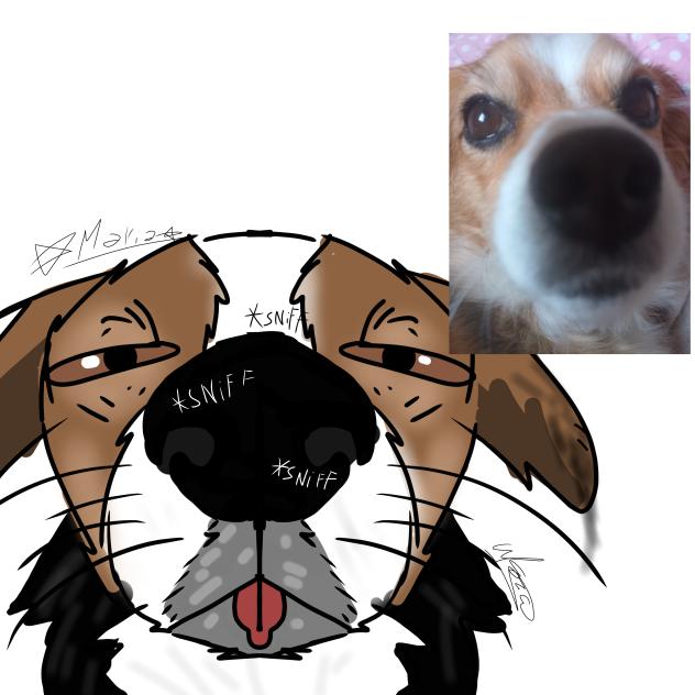 drawing of my dog